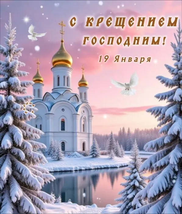 image (25)