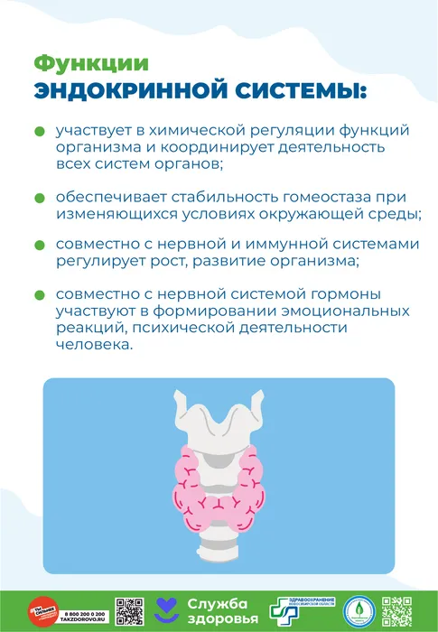 Профилактика эндокринной системы3