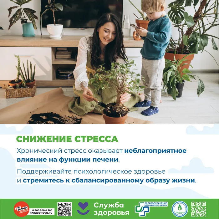 Профилактика заболеваний печени8