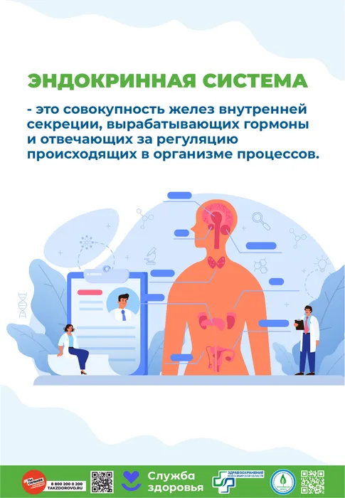 Профилактика эндокринной системы2
